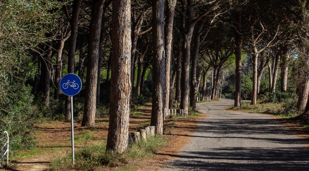 Camping Village S'Ena Arrubia Arborea Luaran gambar