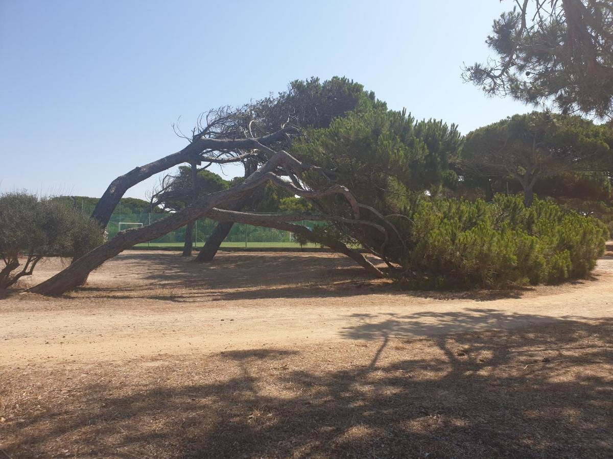 Camping Village S'Ena Arrubia Arborea Luaran gambar