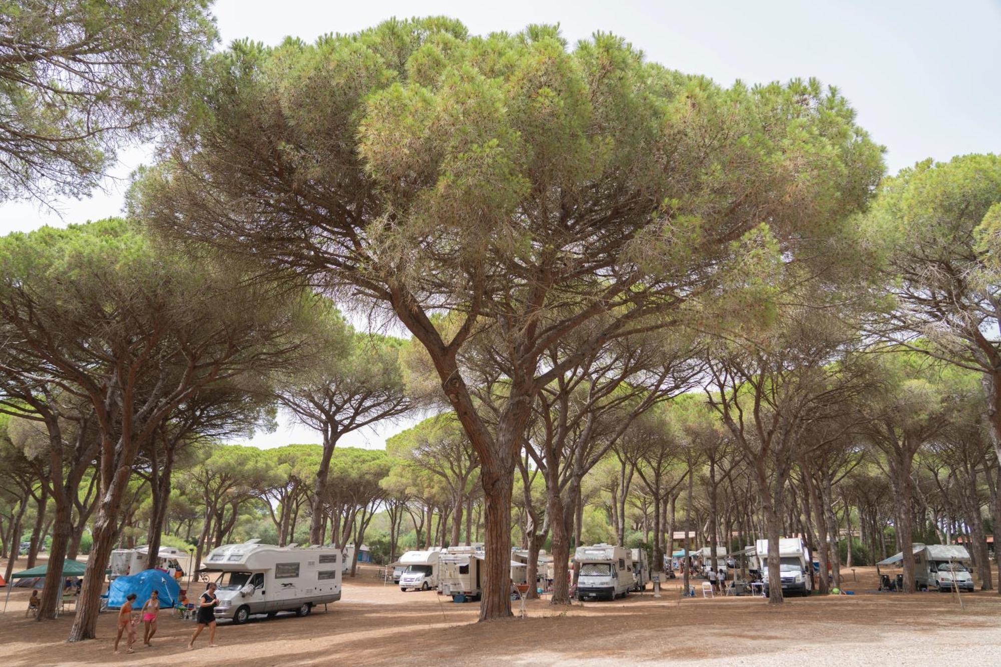 Camping Village S'Ena Arrubia Arborea Luaran gambar