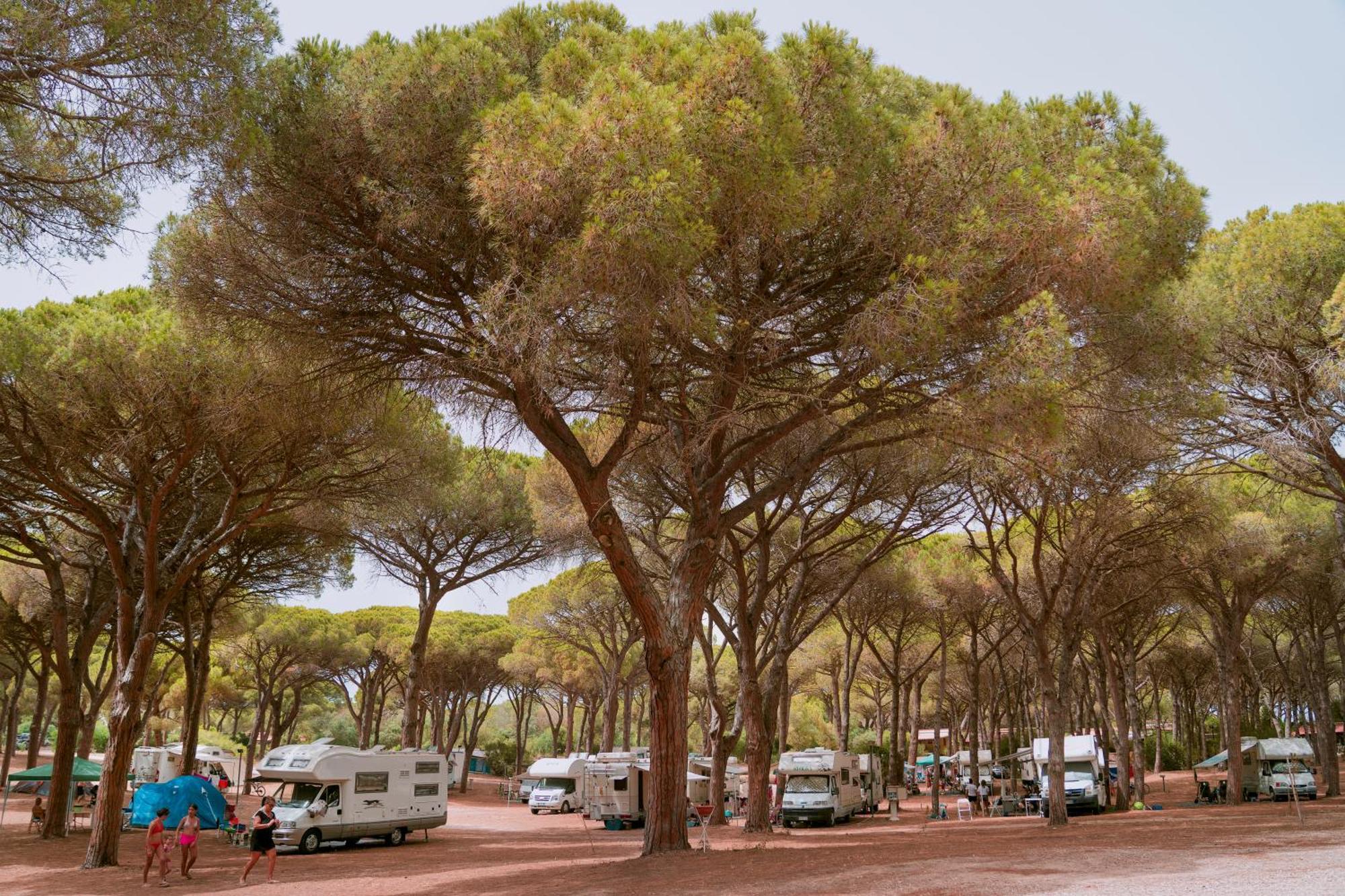 Camping Village S'Ena Arrubia Arborea Luaran gambar